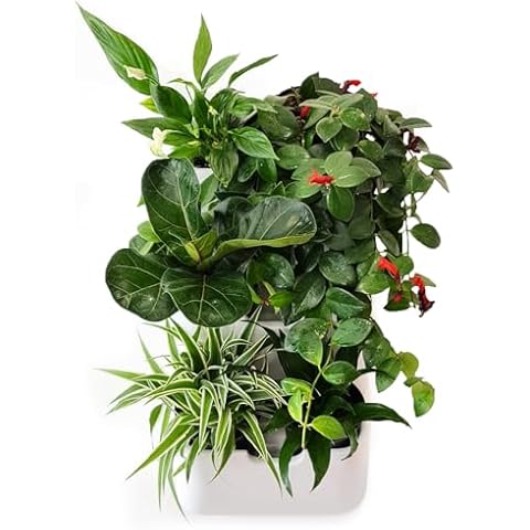 BOXSAND-6 Living Wall Planter Cover