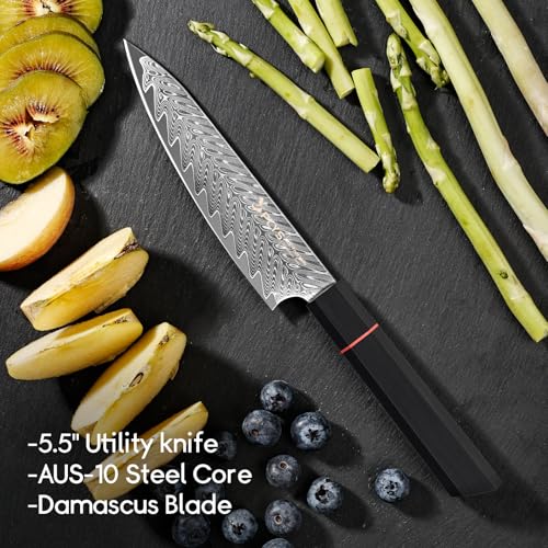 5.5-Inch Japanese Chef Knife - Razor Sharp Damascus Small Kitchen Knife, AUS-10 Steel for Paring Knife with G10 Handle - Image 3