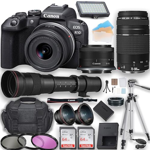 デジタルカメラ CanonEOSR10 EOS R10：レンズ交換式カメラ・レンズ｜個人｜キヤノン