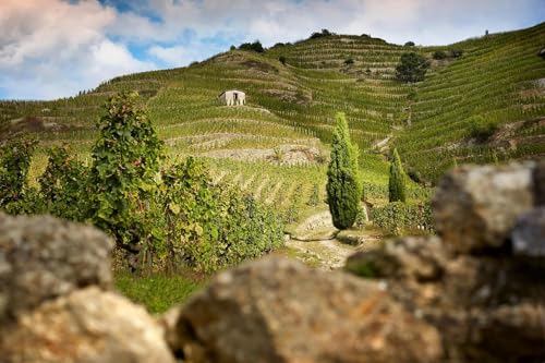 Delas Saint-Esprit Côtes-du-Rhône Rotwein Halbflasche trocken (1 x 0.375 l)