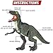 Liberty Imports Dino Planet Remote Control R/C Walking Dinosaur Toy with Shaking Head, Light Up Eyes & Sounds (Velociraptor)