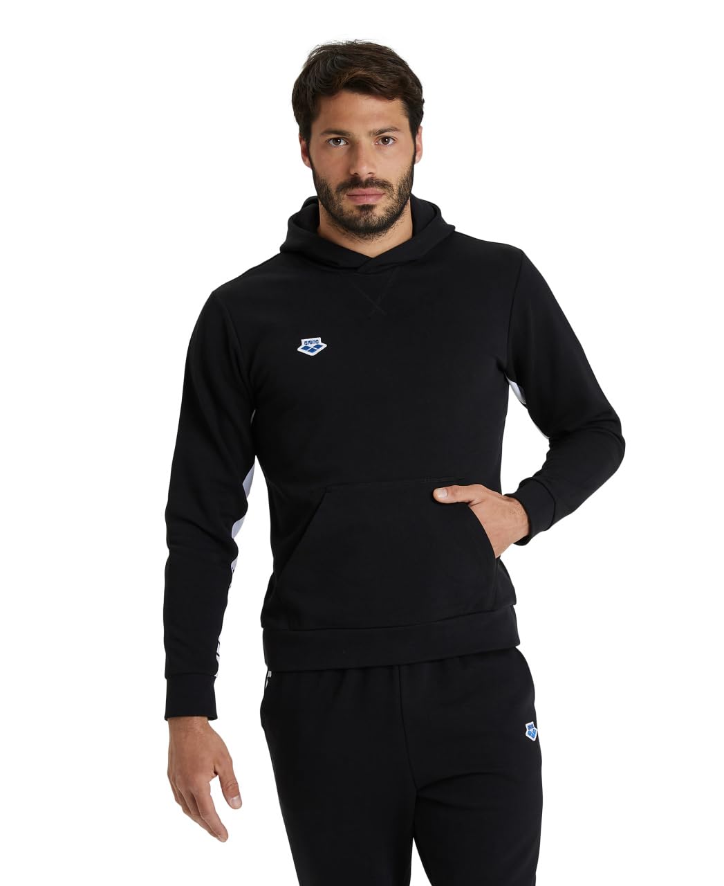 Arena Icônes Sweat À Capuche Solid Mixte