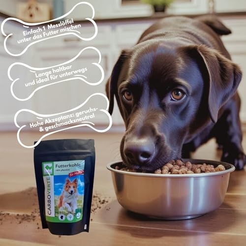 Futterkohle für Hunde 200 g – unterstützt Magen-Darm-Funktion, reduziert Durchfall & Magenbeschwerden, sehr ergiebig, neutraler Geschmack, vitaler und glücklicher Hund, einfach ins Futter mischbar