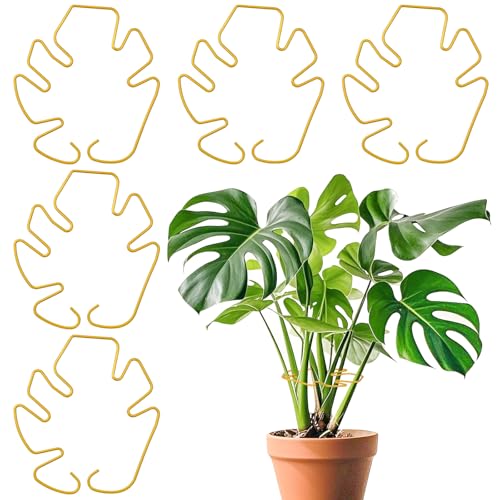 Yncotte Monstera Plant Support for Indoor Plants Metal Plant Stem Holder Plant Support Ring for Climbing Plants Stem Stabilizer (6.29 * 7.08inch/ 5)