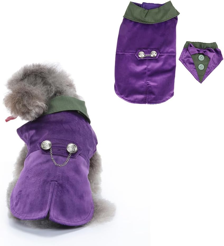Traje de Perro con Corbatin, Retro Morado para Fiestas