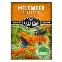 Butterfly Milkweed Seeds for Planting, Asclepias Tuberosa