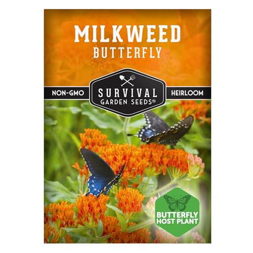 Butterfly Milkweed Seeds for Planting with Instructions...