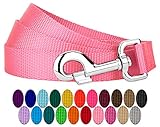 Country Brook Petz - Vibrant 25 Color Selection - Nylon Dog Leash (1 Inch Wide, 6 Foot, Pink)
