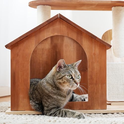 Torre de madera para gato con casa y rascador 2 niveles miniatura 6