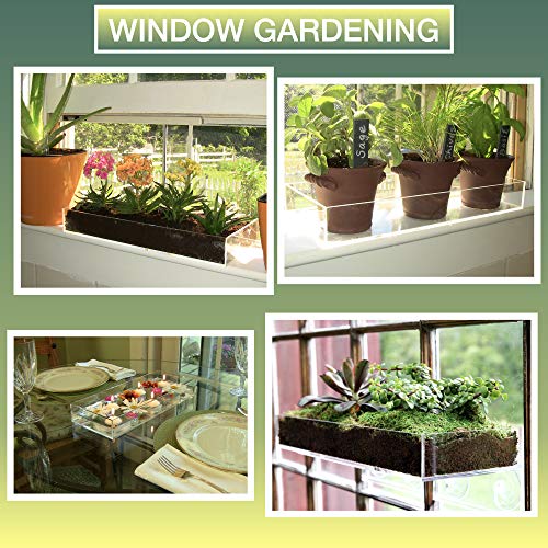 Window Garden Multi-Use Acrylic Planter Tray + Fiber Soil + Sprayer = Gorgeous Succulent, Dish and Herb Gardens | Grow Microgreens, Wheatgrass Seed | Centerpiece | Drip Tray | Fairy Gardens (2 Pack).