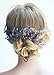 Missgrace Bridal and Women Crystal Navy Blue Hair Jewelry Wedding Blue Hair Comb Women Crystal Hair Clip Headpiece for Wedding and Party Vintage Hair Comb Bridal Hair Accessories