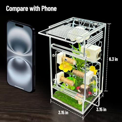 Image of Jumping Spider Enclosure,DIY Insects Habitat,Small Reptile Terrarium Glass House Accessories Set,with Jumping Platform Hide Climbing Net(Green 2)