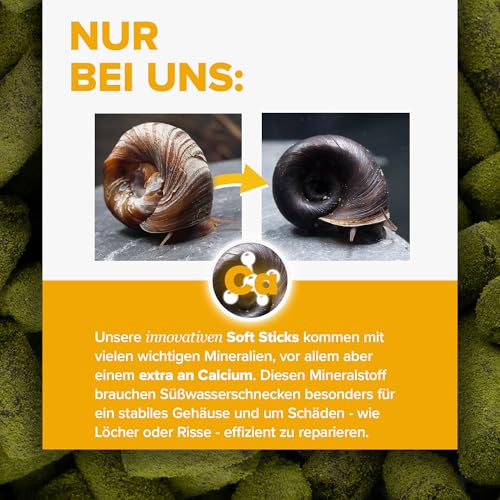 NatureHolic Snailfeed Sticks - Schneckenfutter fürs Aquarium - extra viel Calcium - mit Moringa & Spirulina - Futter für Schnecken - Made in Germany
