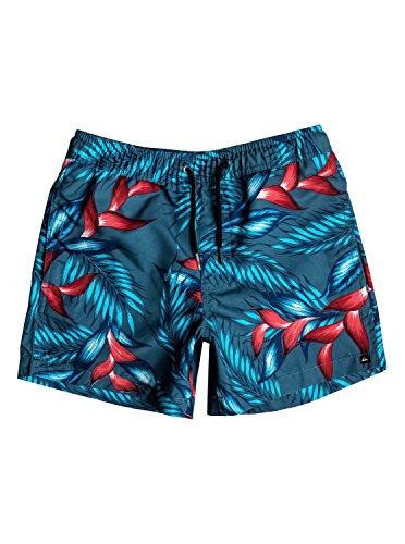 Short de bain garçon Quiksilver Paradisepvyth13 en polyester bleu