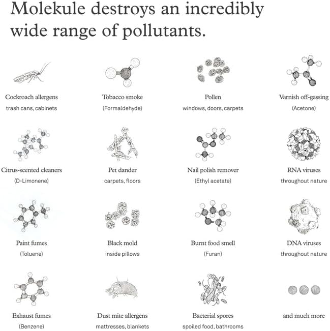 Molekule Air Pro -PECO Filter