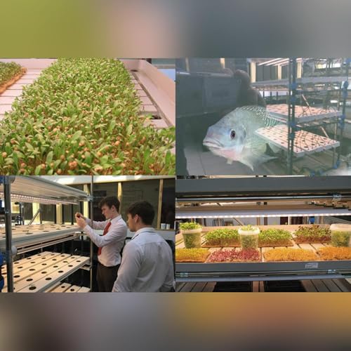School&rsquo;s aquaponics project supplies Michelin star restaurant