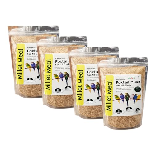 Image of REFIT ANIMAL CARE Foxtail Millet for Birds | Kangni Seeds | Bird Food | 450 gm X 4 | Pack of 4
