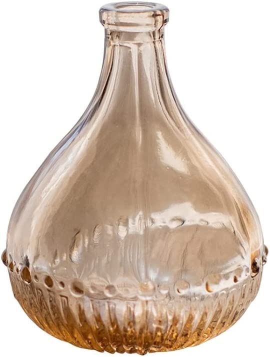 Verre hydroponie retro transparent minimaliste petit format pour plantes et boutures