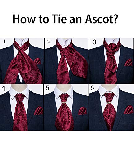 Image of DiBanGu Silk Woven Ascot Cravat with Pocket Square Set for Men