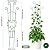 KINGLAKE Plant Trellis for Climbing Plants Indoor Outdoor - 2 Pack 32.7 Inch Green Expandable Metal Garden Trellis for Potted Climbing Plants Support Flower Vine Ivy Monstera Houseplant with Tape