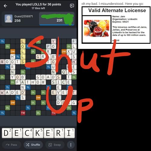 22 - steve jobs ruined the internet