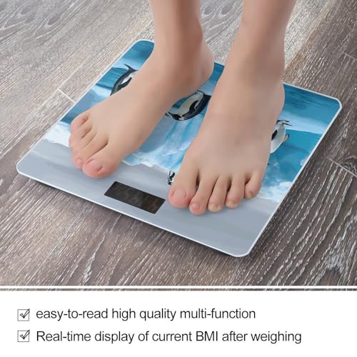 Báscula digital FekiLoot para baño con pantalla grande miniatura 5