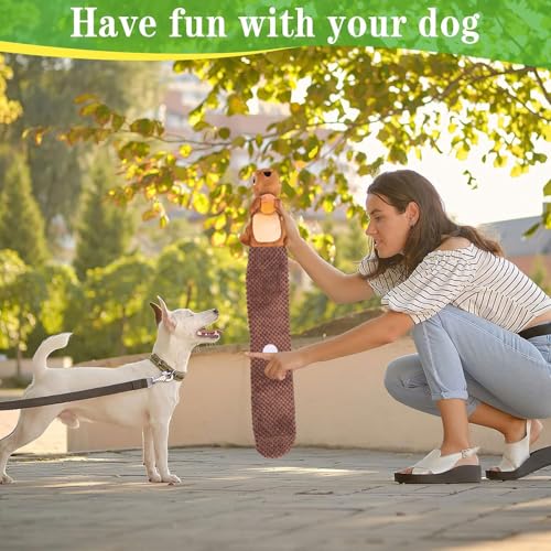 Eichhörnchen Hundespielzeug,Intelligenzspielzeug für Hunde,Quietschend Welpenspielzeug,Interaktives Hundespielzeug,Schnüffelspielzeug Hund,Puzzle Toys for Dogs,Herbst Hund Plüsch Kauspielzeug