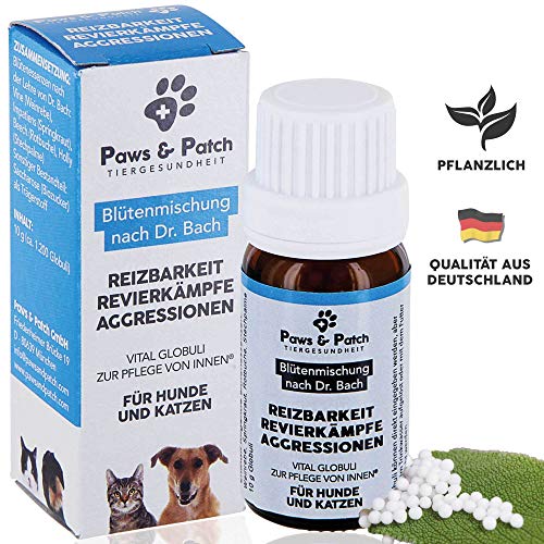 Starkes Pflanzliches Beruhigungsmittel Die aktuellen TOP Produkte am