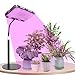 Schreibtisch Pflanzenlampe LED,UV-IR Vollspektrum Pflanzenlicht für Zimmerpflanzen Mit Timerfunktion,Pflanzenleuchte LED 16W,Grow Lampe LED 48 LEDs,Wachstumslampe für Pflanzen,On/Off Schalter MI 4 günstig Kaufen-Schreibtisch Pflanzenlampe LED,UV-IR Vollspektrum Pflanzenlicht für Zimmerpflanzen Mit Timerfunktion,Pflanzenleuchte LED 16W,Grow Lampe LED 48 LEDs,Wachstumslampe für Pflanzen,On/Off Schalter