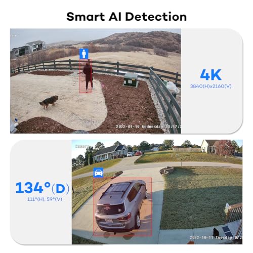 AI surveillance CCTV system