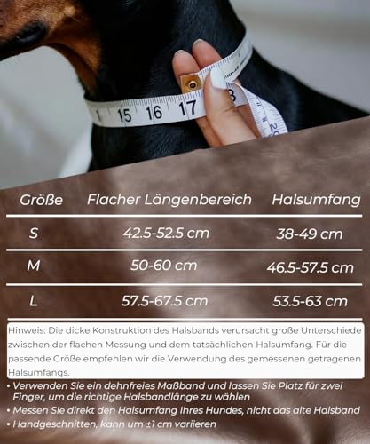 Hundehalsband Leder, 5 cm Breites Robustes Echtes Lederhalsband, Handgefertigt, Weich und Luxuriös, Auffällige Beste Wahl für Große und Mittelgroße Hunderassen, Rot M