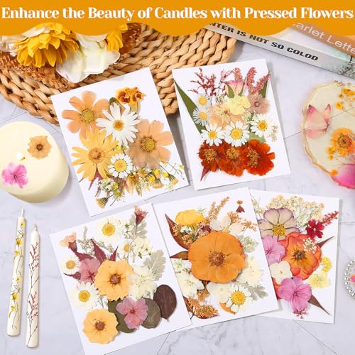 Image of Dried Pressed Flowers for Resin, Real Pressed Flowers Dry Leaves Bulk Natural Herbs Kit for Scrapbooking DIY Art Crafts Epoxy Resin Jewelry Mold Candle Soap Making Nails Decor (Boho Pressed Flowers)
