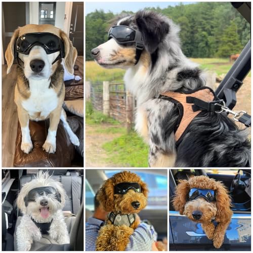 PETLESO Hundebrille Hundeschutzbrille Hunde Sonnenbrille Anti-UV Schutz Augenschutz für Kleine/Mittelgroße Hunde
