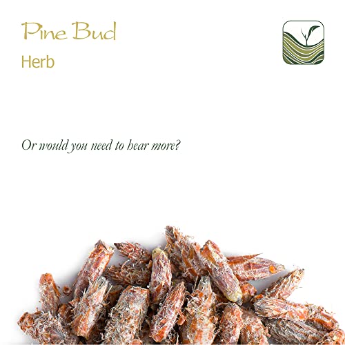 Valley of Tea Kiefern Knospen Tee Qualität - Kiefernzweige Oder - Kiefernknospen Nadeln - Kieferntee Bio Kiefernadeltee, 50 g (1er Pack)