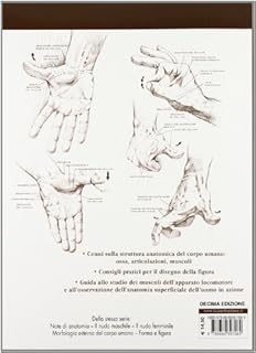 Note di anatomia e raffigurazione. Ediz. illustrata