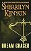 Dream Chaser (Dream-Hunter Novels Book 14)