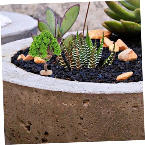 Arbres miniatures pour diorama stables sans collage, solution pour maquette paysage et train
