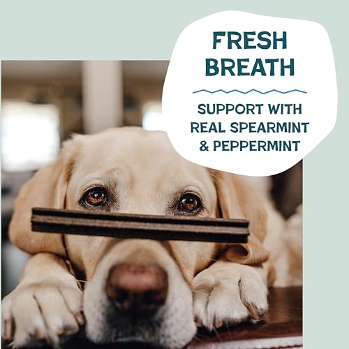Image of Shameless Pets Triple Mint Dental Chews for Dogs, 8 Chews - Natural Dog Teeth Cleaning Treats with Fresh Breath Benefits | Grain-Free Dental Sticks for Small, Medium & Large Dogs