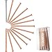 Frienda 4 Inch (100 mm) 12 Pieces Copper Nails Large Long for Killing Trees, Stump Removal Spikes with 1 Piece 4 Inch Steel Nail, Storage Box Included