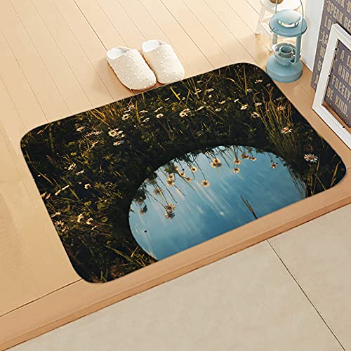 Paillasson Interieur Antidérapant 80x120cm Tapis Exterieur Vert Foncé Idéal Entrée et Couloir