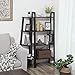 VASAGLE Corner Shelf Stand, 4-Tier Corner Bookshelf, Industrial Corner Ladder Shelf, Plant Stand Display Shelf for Living Room, Office, Kitchen, Rustic Dark Brown and Black ULLS34BF