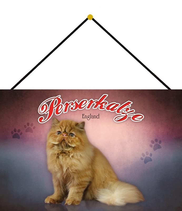 Metal Sign 20 x 30 cm with Cord Persian Cat Tin Sign