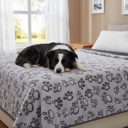 Stuffed Premium Soft Dog Blankets for Large Dogs, Large Cat Blanket Washable for Human Bed Couch Protection Cover, Dog Essentials for Dog, 66 * 82 inches, Grey by Stuffed - Used condition - US$23.47