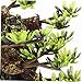 BESPORTBLE Artificial Plant Decor for Reptiles Realistic Branch with Leaves for Fish Tanks Bearded Dragon Leopard Gecko Accessories Long Durable Easy to Use
