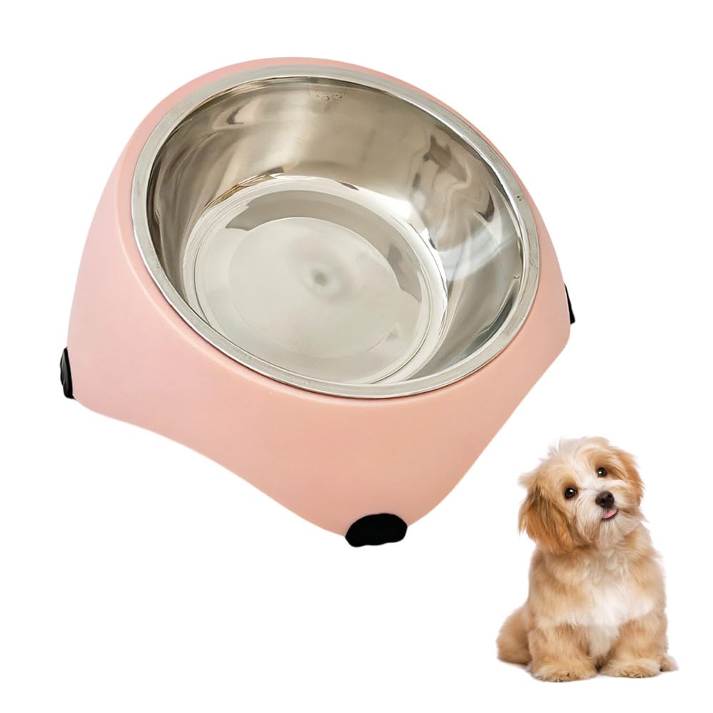 15° Tilted Elevated Cat Bowl, 300ML Stainless Steel Pet Elevated Neck Bowl with Stable Base, Ergonomic Raised Feeder for Kitten, Puppies