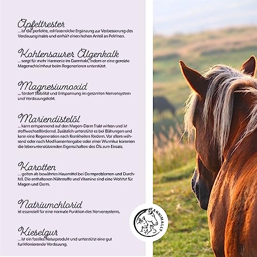 Annimally Probiotika Pulver für Pferde - 750g Darm Pulver mit Lebendhefe für eine gesunde Darmflora - Darmbakterien zur Darmsanierung beim Pferd, bei Kotwasser & Durchfall