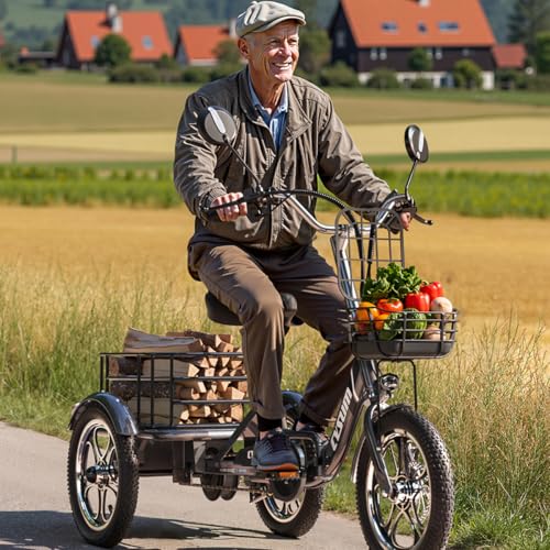 cysum Elektro Dreirad für Erwachsene, 16 Zoll faltbares 3 Rad E-Bike, 48 V 22 Ah Batterie, Reichweite bis zu 120 km,Lastenrad E-Dreirad,Tragkraft 150KG – Bild 3