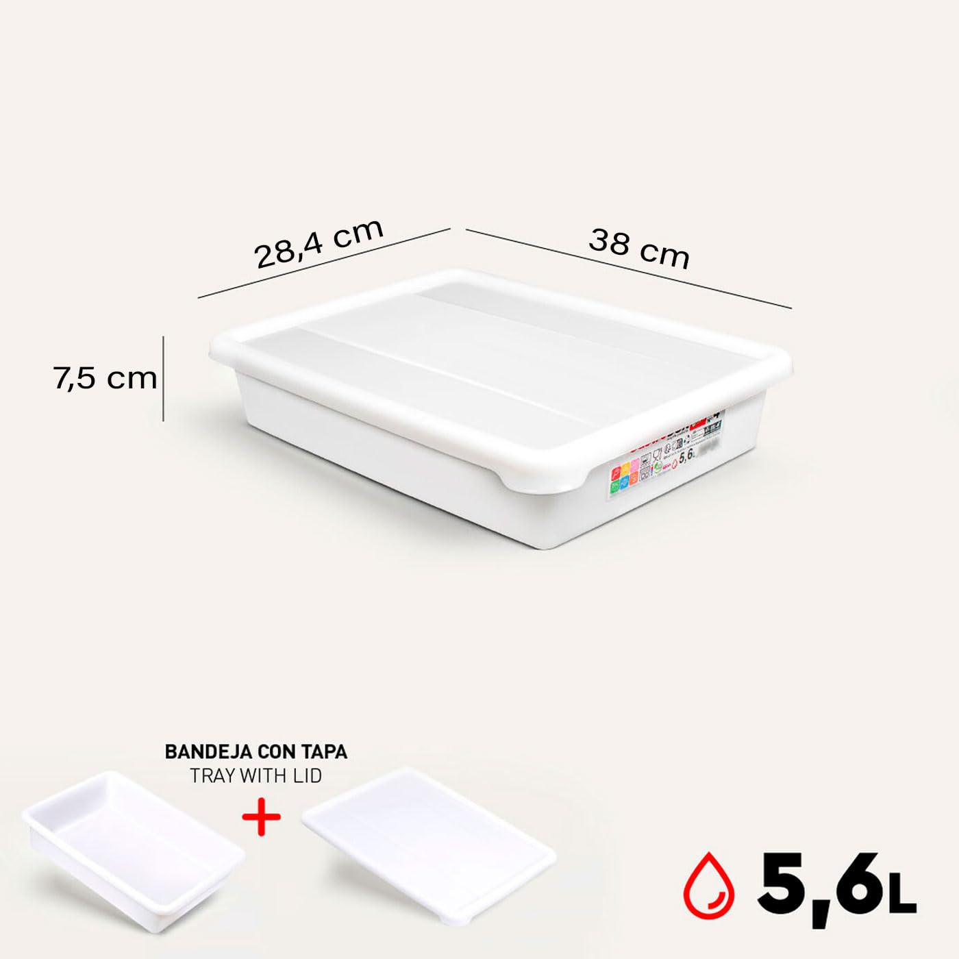 Tradineur - Pack de 6 bandejas frigoríficas de Almacenamiento con Tapa, N.º 4 - HG, plástico, Reutilizables, Guardar Alimentos, Fabricadas en España (Blanco - 5,6 litros - 38 x 28,4 x 7,5 cm)