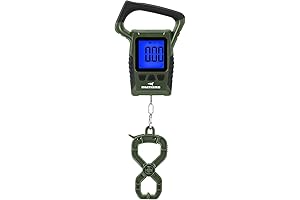 KastKing Fish Scale: Accurate Weighing for Anglers
