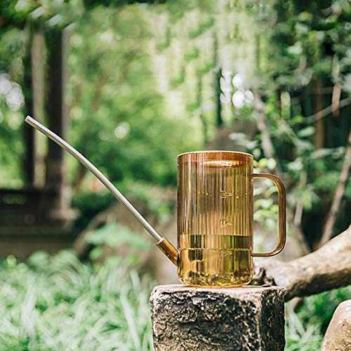 Jodsen Gietkan,1L acryl lange plantenuitloop waterfles voor tuin,Transparante sproeier pot spuitgereedschap voor buiten… - Image 6